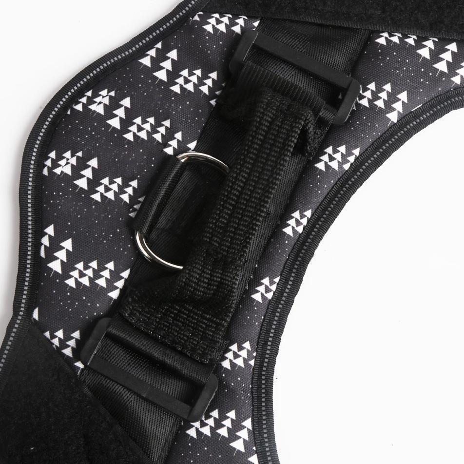 ComfortGrip™ - Personalized No Pull Dog Harness + FREE Strong Reflective Dog Leash Worth $20