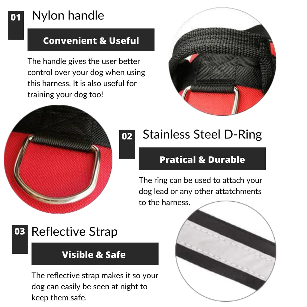 ComfortGrip™ - Personalized No Pull Dog Harness + FREE Strong Reflective Dog Leash Worth $20